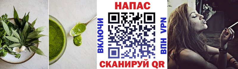 Canna-Cookies марихуана  Муром 