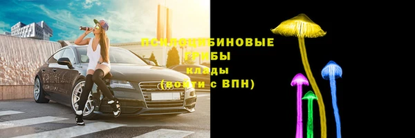спиды Семилуки